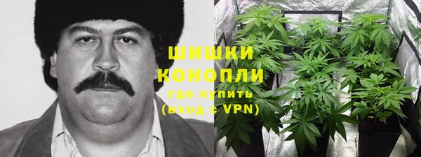 гидра Касимов