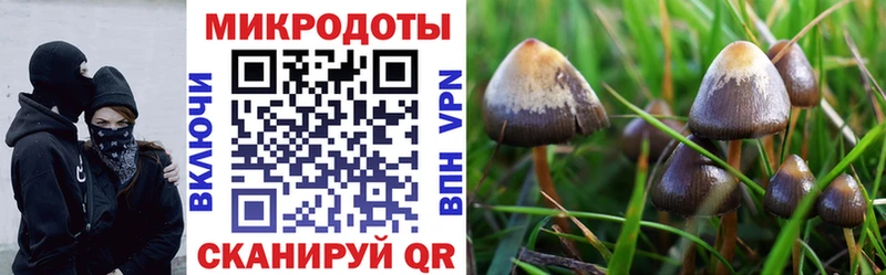 Купить где  Весьегонск  Галлюциногенные грибы GOLDEN TEACHER 